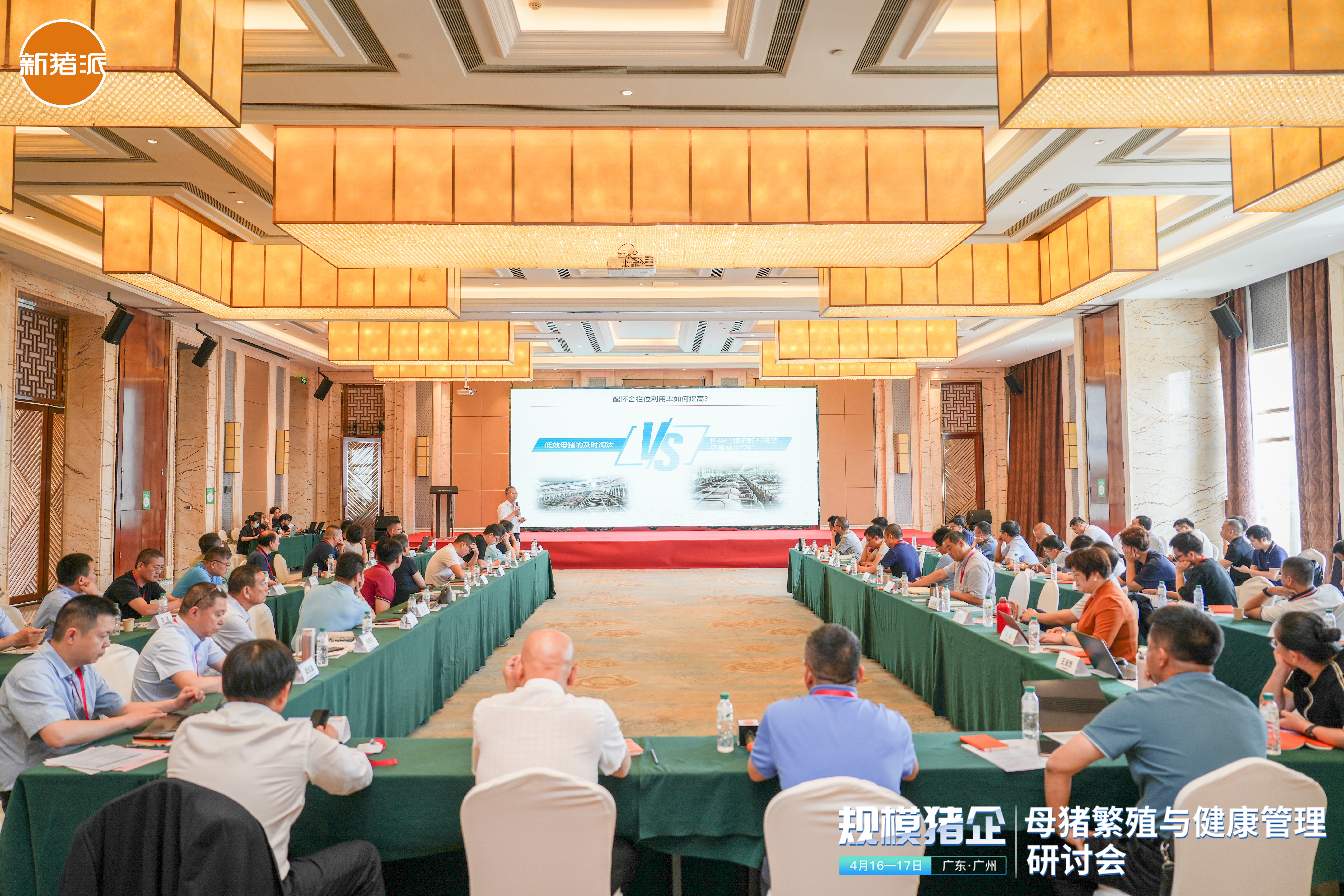 偉杰信成功協(xié)辦的“規(guī)模豬企——母豬繁殖與健康管理研討會(huì)”圓滿落幕
